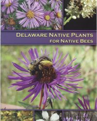 Delaware Native Plants Delaware Native Plants