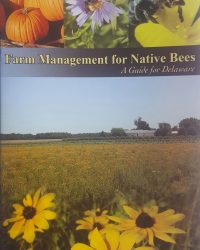 Farm Management for Native Bees